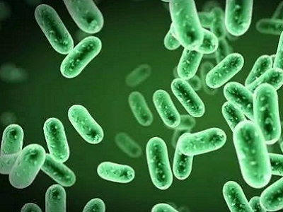 创新抗生素组合Recarbrio获批上市，用于对抗细菌耐药性 _香港济民药业