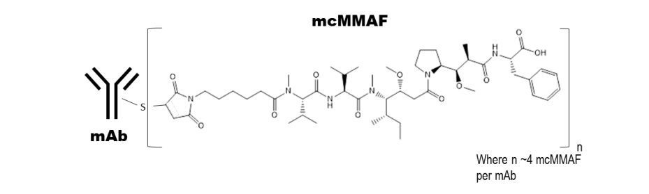 Blenrep（belantamab mafodotin）中文说明书-价格-功效与作用-副作用_香港济民药业