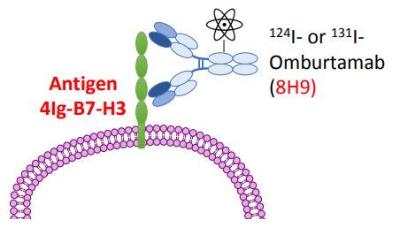 B7-H3靶点新药omburtamab治疗神经母细胞瘤儿童患者的监管更新：12个月总体生存率为78%_香港济民药业