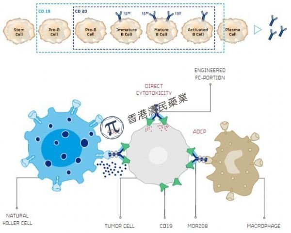 新型Fc优化免疫增强抗体Minjuvi(tafasitamab)联合来那度胺用于治疗弥漫性大B细胞淋巴瘤（DLBCL）即将获欧盟批准_香港济民药业