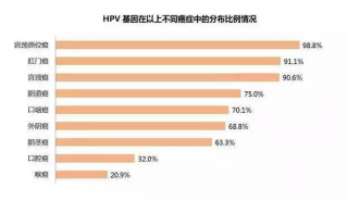 HPV相关癌症：除了宫颈癌，还有哪些癌症？