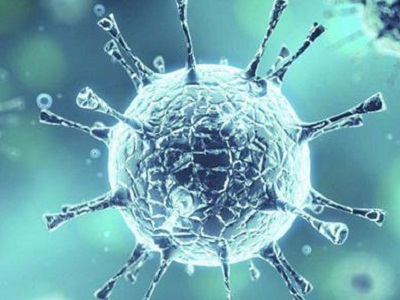 研发发现:寨卡病毒可应对成神经细胞瘤_香港济民药业