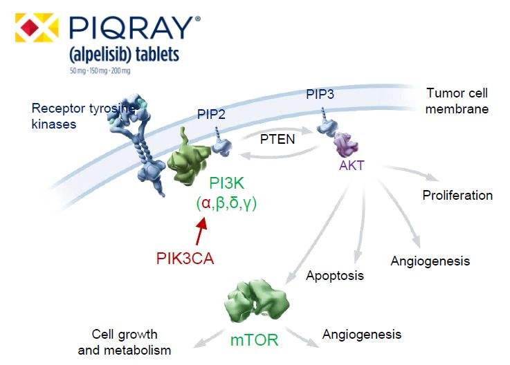 Piqray（alpelisib阿博利布）说明书-价格-功效与作用-副作用_香港济民药业