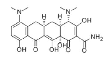 米诺环素(Amzeeq,minocycline)中文说明书-价格-功效与作用-副作用_香港济民药业