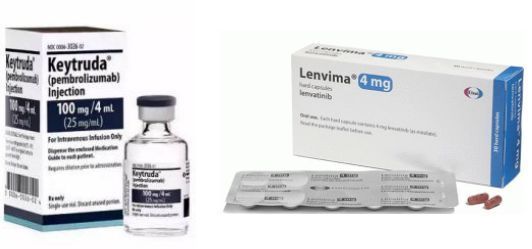 帕博利珠单抗+乐伐替尼（Keytruda+Lenvima）联合用药治疗肝细胞癌