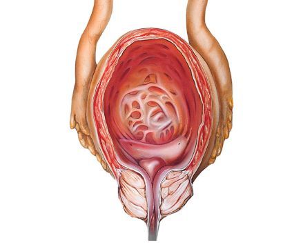 膀胱癌一线免疫治疗！阿维鲁单抗Bavencio（avelumab）维持治疗III期临床显著优于标准护理，延长患者生存期_香港济民药业