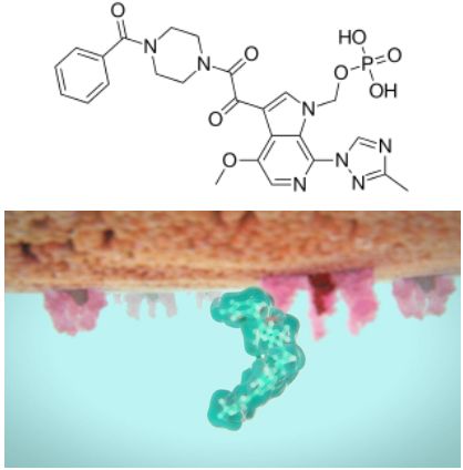 附着抑制剂Rukobia（fostemsavir）治疗多重耐药HIV-1成人感染者获美国FDA批准_香港济民药业