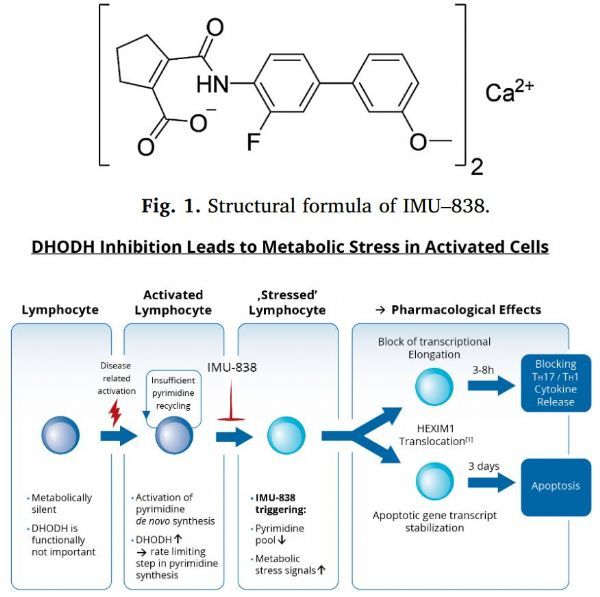 下一代选择性免疫调节剂IMU-838治疗多发性硬化症（RRMS）具有显著疗效，有良好的安全性和耐受性！_香港济民药业