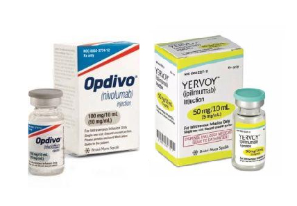 EMA受理Opdivo+YervoyⅡ类变更申请：一线治疗MPM显著延长总生存期!_香港济民药业