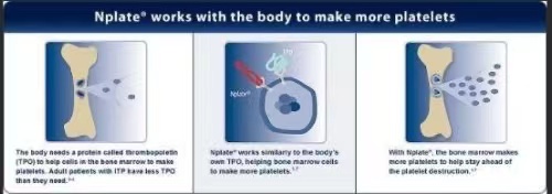 最新研究：升血小板药物罗米司亭Nplate(romiplostim)效果怎样？_香港济民药业