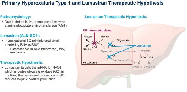 第三款RNAi药物Oxlumo获美国FDA批准，用于治疗原发性高草酸尿症1型_香港济民药业