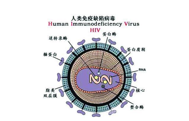 美国FDA授予cabotegravir突破性药物资格，用于HIV暴露前预防（PrEP）！_香港济民药业