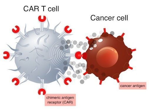 CD19 CAR-T细胞疗法Kymriah治疗复发或难治性滤泡性淋巴瘤：总缓解率（ORR）为83%_香港济民药业