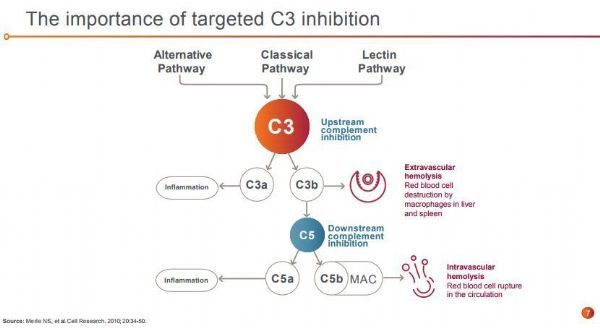 C3抑制剂pegcetacoplan治疗阵发性睡眠性血红蛋白尿症（PNH），已证实提升PNH护理标准的潜力_香港济民药业