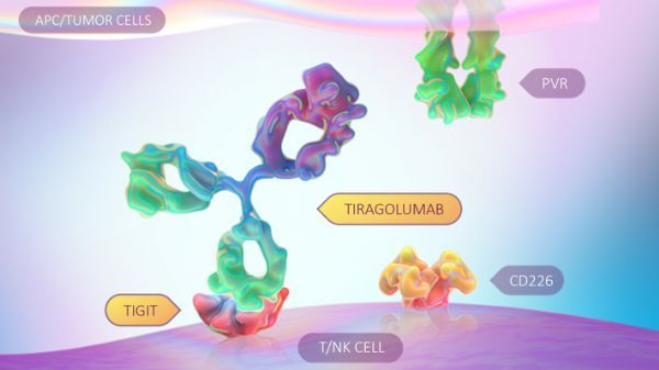 TIGIT靶点免疫疗法tiragolumab：联合Tecentriq治疗PD-L1阳性肺癌总缓解率（ORR）显著提高_香港济民药业