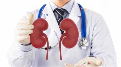 缺氧诱导因子-2α抑制剂belzutifan获FDA优先审查，用于透明细胞肾细胞癌_香港济民药业
