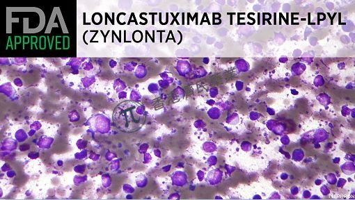 首个CD19靶向ADC！Zynlonta单药治疗恶性淋巴瘤显示出持续的抗肿瘤活性和可接受的安全性_香港济民药业