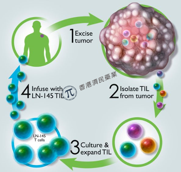 创新肿瘤浸润淋巴细胞疗法LN-145治疗治疗非小细胞肺癌，初步临床结果积极_香港济民药业