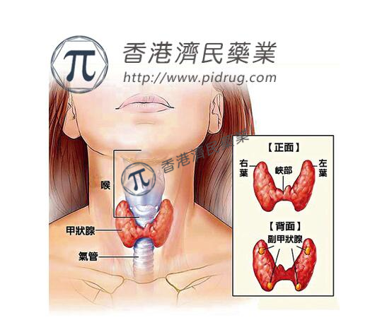 Thyrogen（注射用促甲状腺素α）效果怎么样？用药需注意什么？_香港济民药业