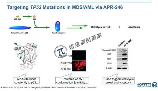 TP53突变型骨髓增生异常综合症和急性髓性白血病新药eprenetapopt  2期临床成功，疗效显著_香港济民药业