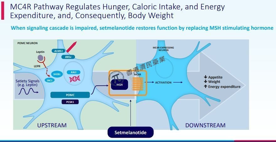 罕见肥胖症新药Imcivree（setmelanotide）在欧盟获批，用于≥6岁患者_香港济民药业