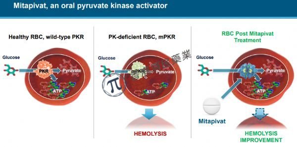 首创小分子变构激活剂mitapivat有望成为治疗PKD的第一款疾病修正疗法！_香港济民药业