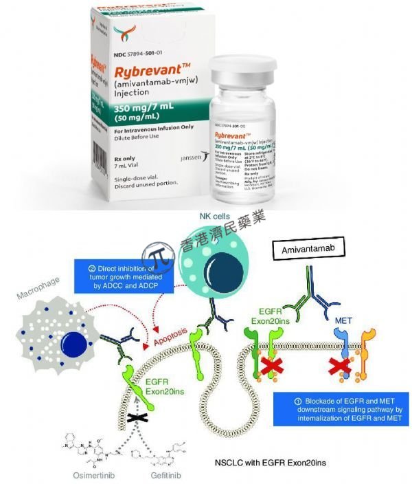 强生Rybrevant（amivantamab）治疗METex14突变肺癌1期试验取得积极结果_香港济民药业