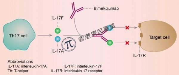 优时比IL-17A/17F双效抑制剂Bimzelx治疗中重度斑块型银屑病获欧盟批准!_香港济民药业 优时比IL-17A/17F双效抑制剂Bimzelx治疗中重度斑块型银屑病获欧盟批准!_香港济民药业