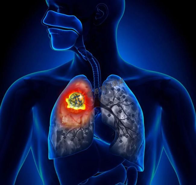 Zepzelca（鲁比卡丁）作为小细胞肺癌的后续治疗方案获NCCN指南推荐_香港济民药业