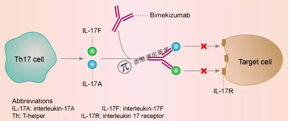 优时比银屑病创新疗法Bimzelx（bimekizumab）在欧盟获批_香港济民药业