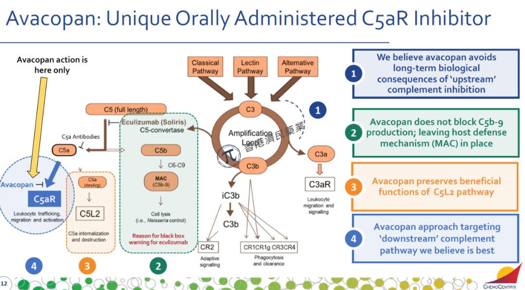 口服补体C5a受体抑制剂Tavneos（avacopan）在日本获批_香港济民药业