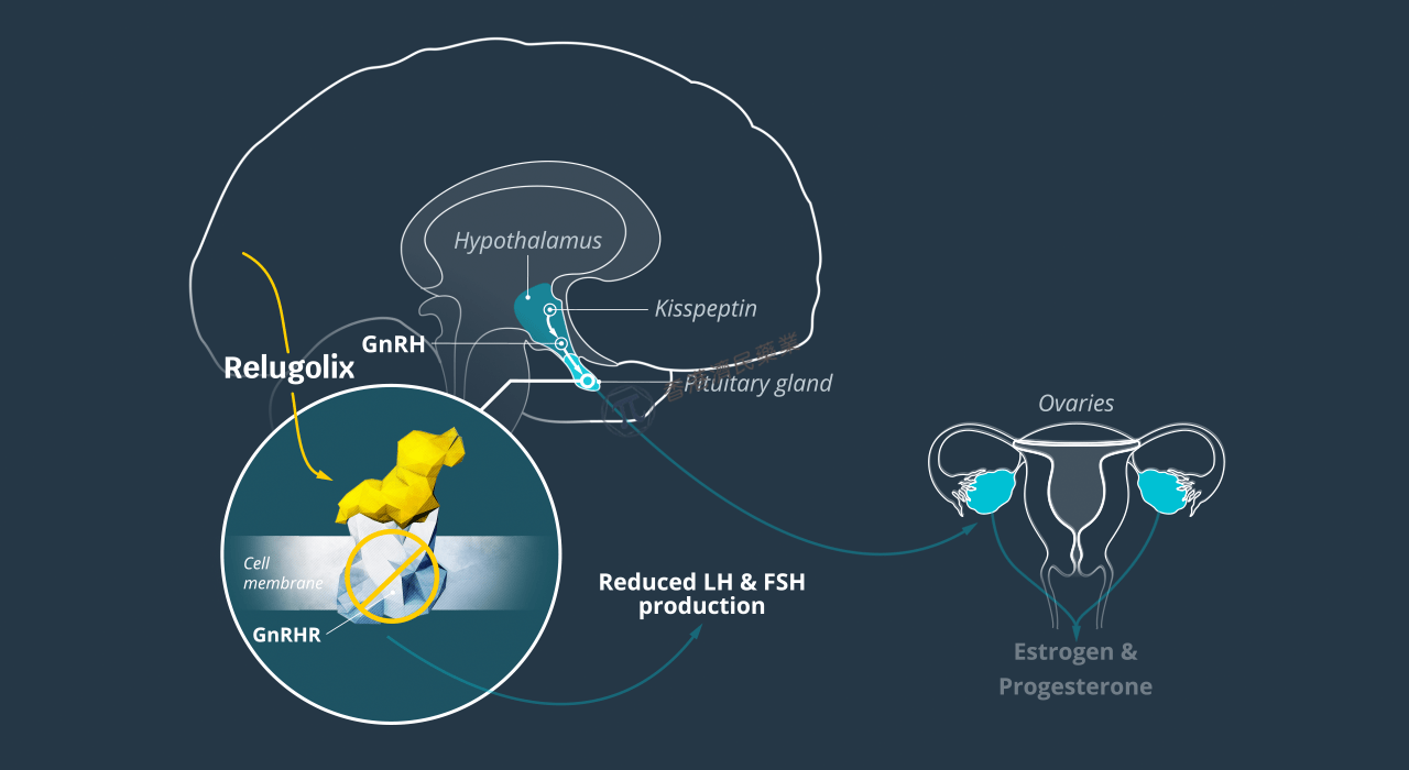 英国第一种GnRH受体拮抗剂Ryeqo（relugolix复方片）获MHRA批准，用于治疗子宫肌瘤中重度症状_香港济民药业