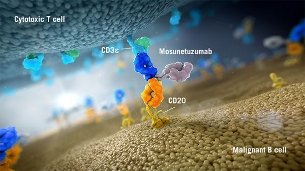 滤泡性淋巴瘤(FL)新药！罗氏mosunetuzumab 1/2期研究显示：完全缓解率达60%_香港济民药业