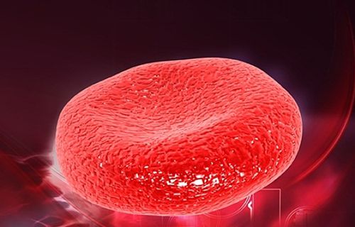 FDA批准PRGN-3006 UltraCAR-T在R/R急性髓细胞白血病中的快速通道指定