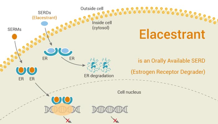 ER+/HER2-乳腺癌单药疗法！Elacestrant在美提交上市申请_香港济民药业