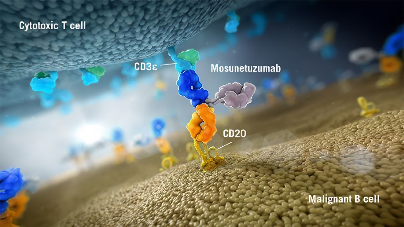 治疗滤泡性淋巴瘤！美国FDA优先审查Lunsumio（mosunetuzumab）