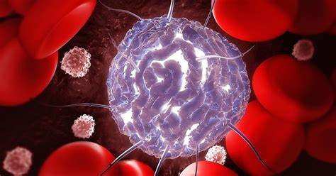 全球首个EZH1/2双重抑制剂Ezharmia在日本获批治疗成人T细胞淋巴瘤