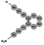 Terlivaz(Terlipressin，特利加压素)中文说明书-价格-适应症-不良反应及注意事项_香港济民药业