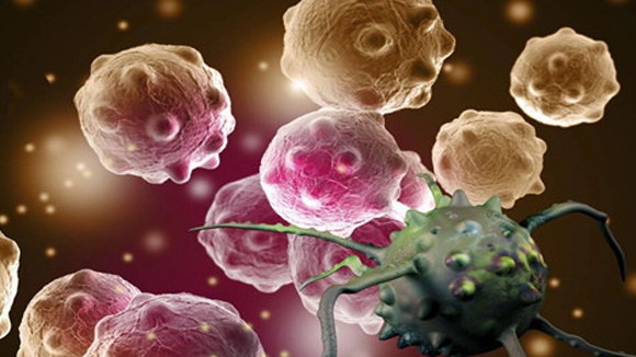 FDA批准epcoritamab优先审查:用于复发或难治性大B细胞淋巴瘤_香港济民药业