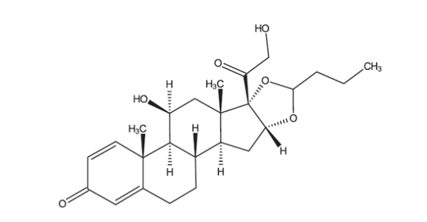 Tarpeyo(budesonide，布地奈德)中文说明书-价格-适应症-不良反应及注意事项_香港济民药业