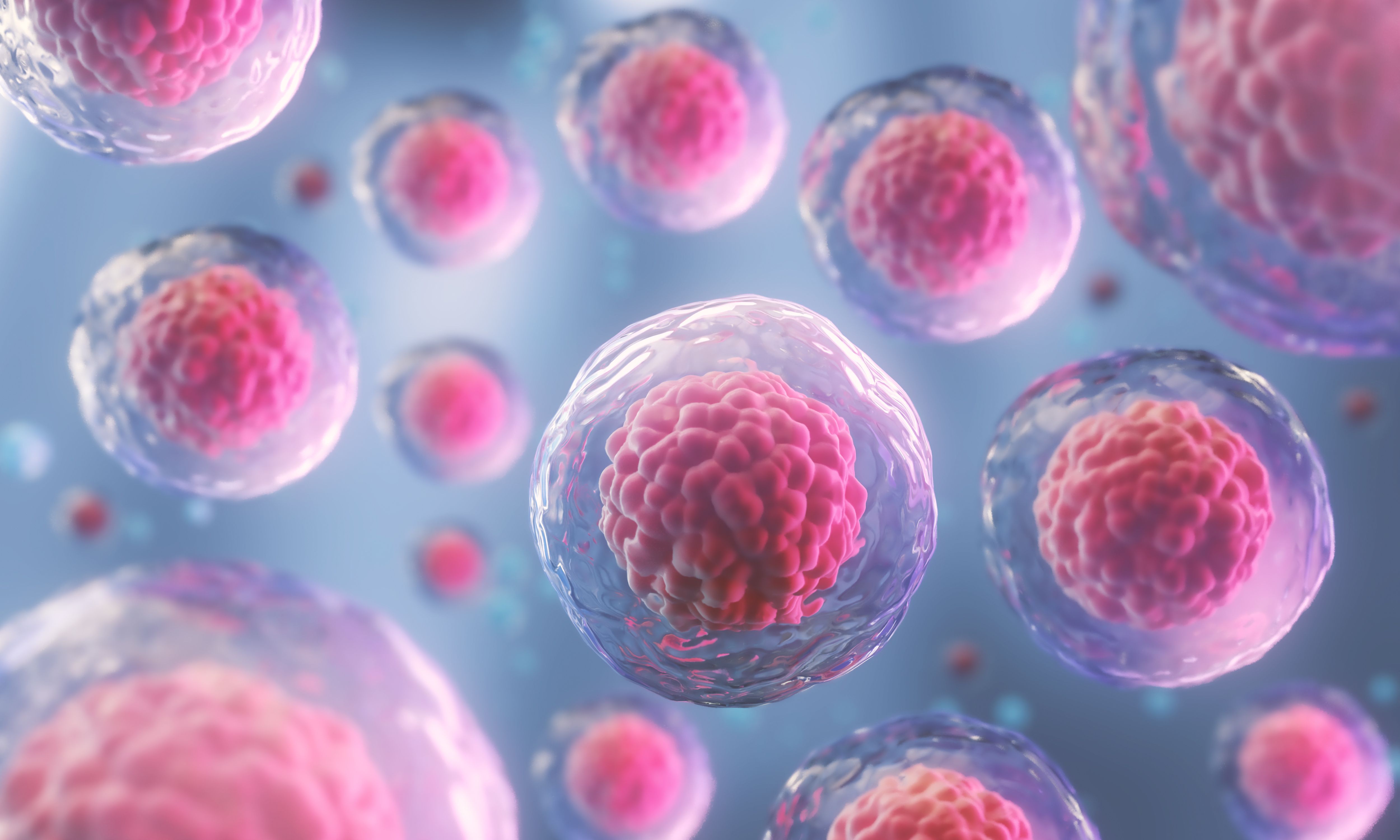 FDA授予Temferon治疗多形性胶质母细胞瘤孤儿药称号_香港济民药业