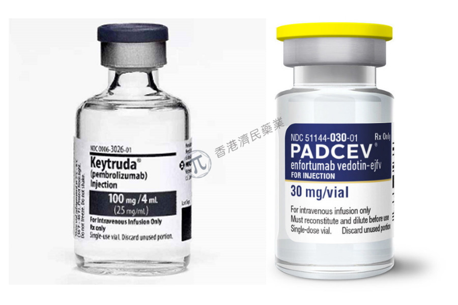 尿路上皮癌一线治疗新方案：FDA加速批准Padcev+pembrolizumab联合用药_香港济民药业