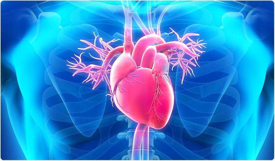 降低中风发生、心脏病死亡风险达31%！首款针对心血管疾病抗炎症药物Lodoco在美获批
