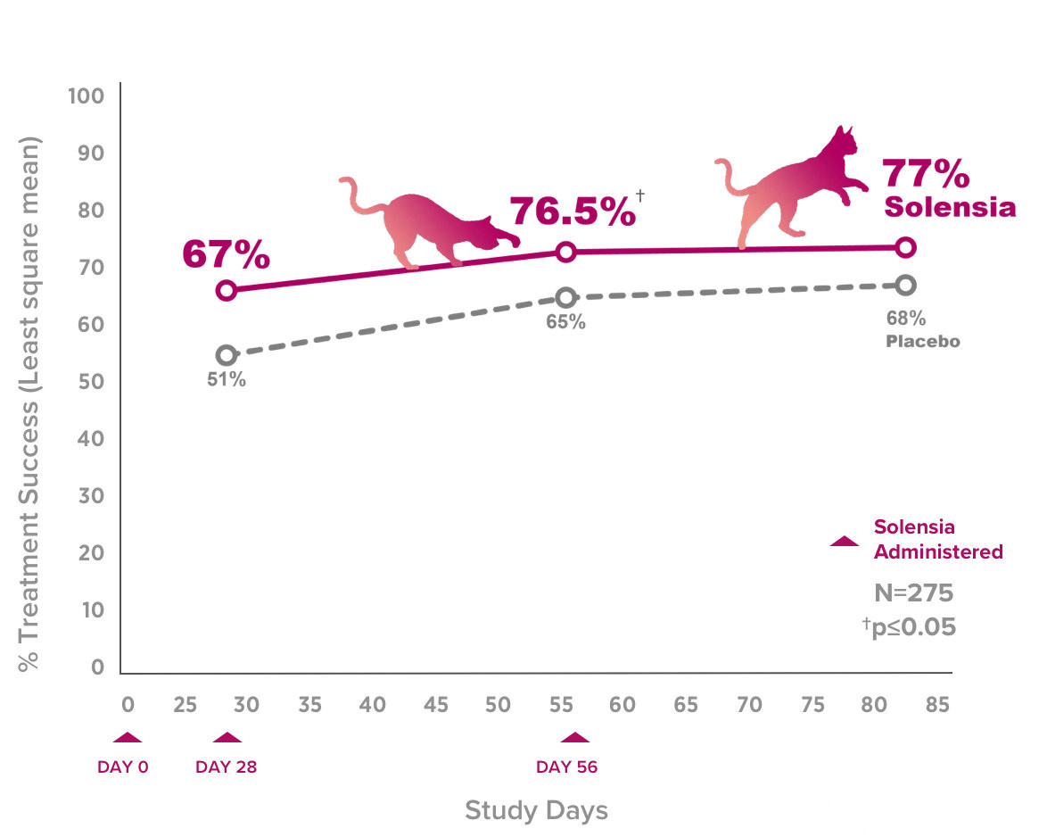 第一种治疗猫骨关节炎疼痛的药物：Solensia(frunevetmab,夫卢维单抗)_香港济民药业