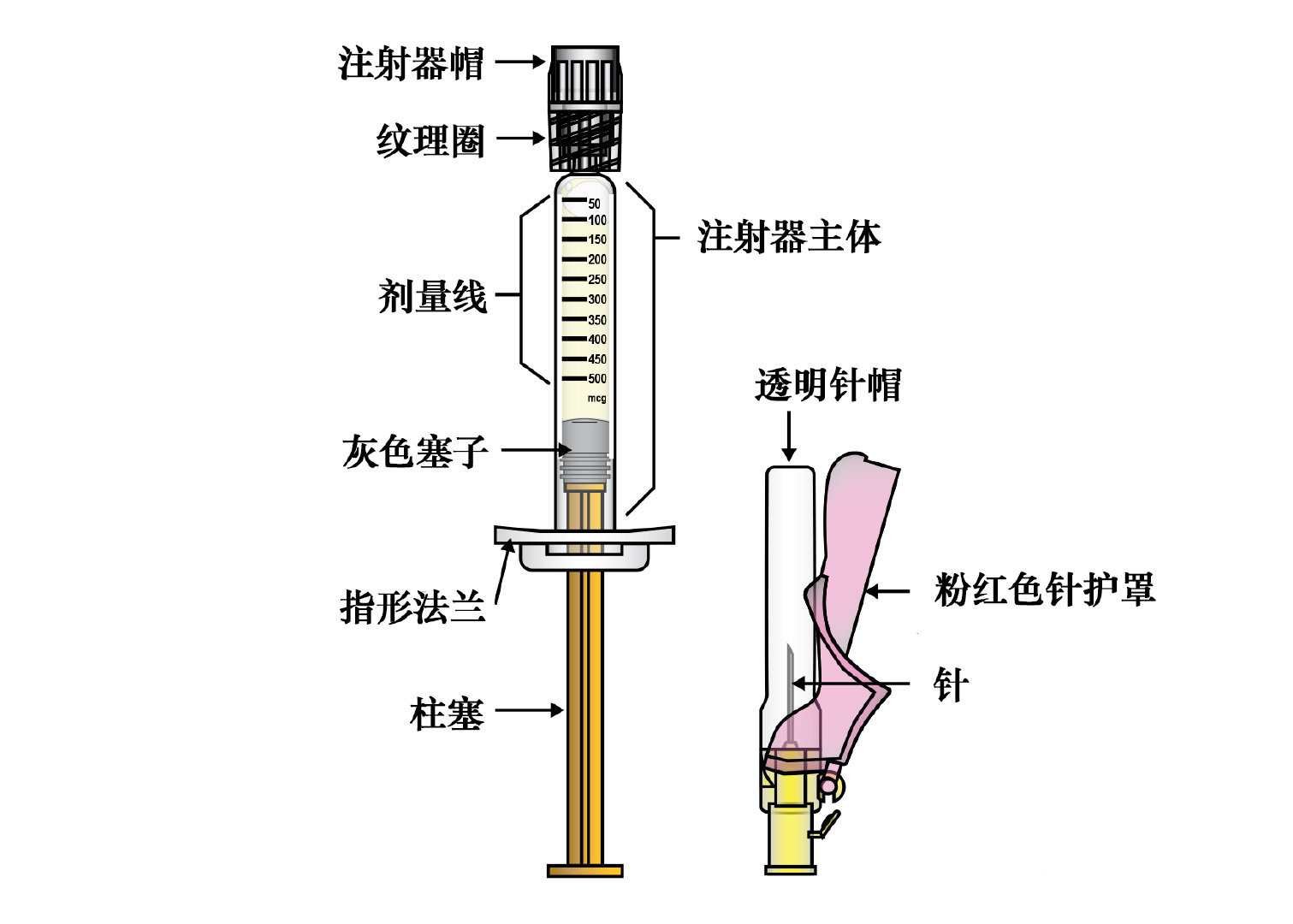 真性红细胞增多症长效干扰素BESREMi使用指南、注意事项_香港济民药业