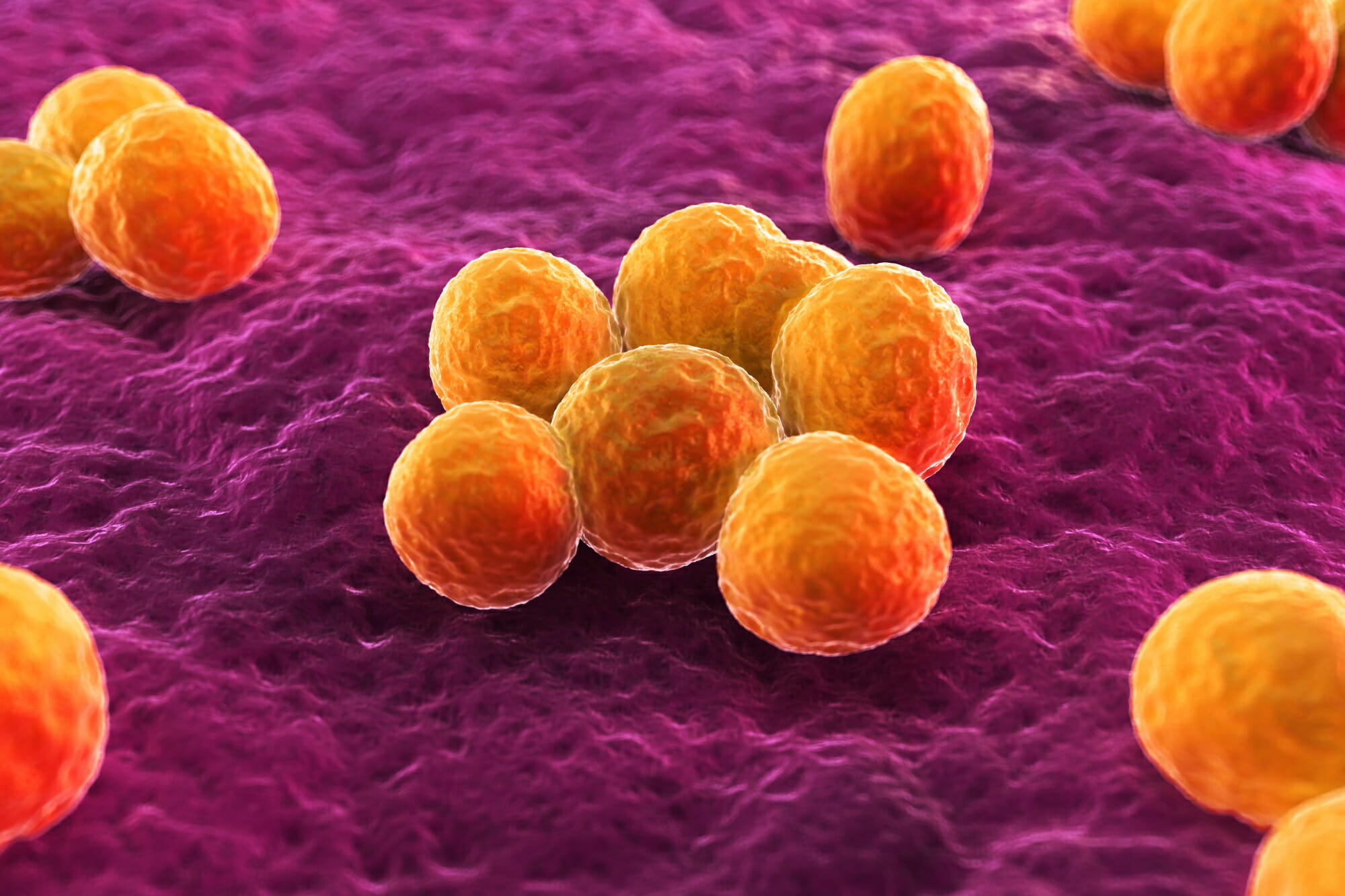 严重细菌感染的IV抗生素Ceftobiprole在美FDA接受审查