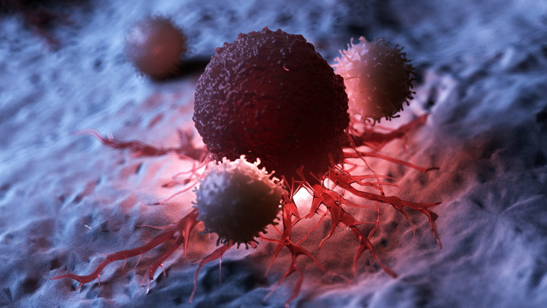新型胶质母细胞瘤疫苗SurvaxM获FDA授予快速通道指定