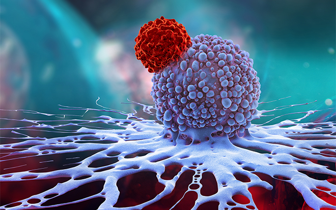 转移性HER2+实体瘤潜在新药！Trastuzumab Deruxtecan获FDA优先审查