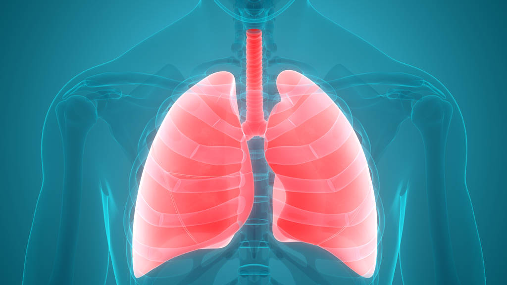 首个！FDA批准肺动脉高压激活素信号抑制剂疗法Winrevair (sotatercept) 