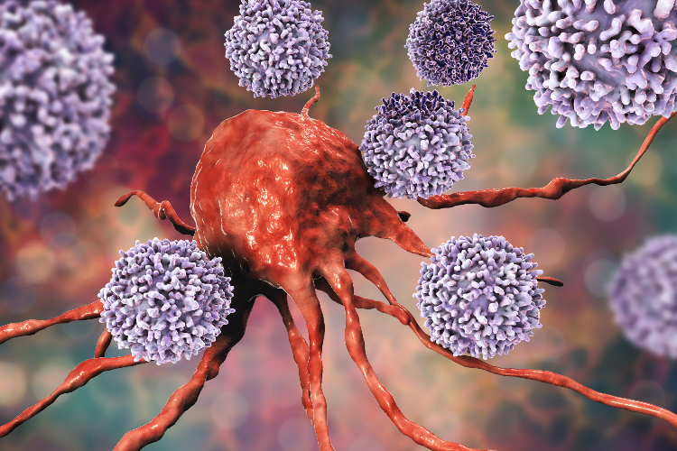 首款NRG1阳性癌症潜在靶向疗法！Zenocutuzumab获FDA优先审评资格_香港济民药业